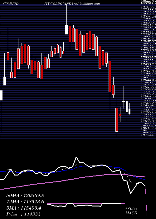  Daily chart GoldGuinea