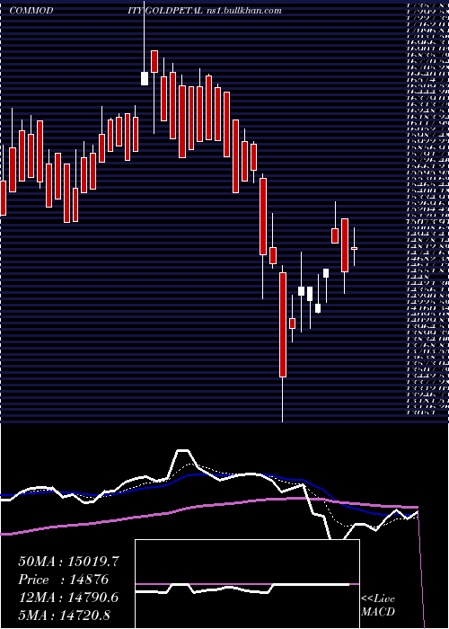  Daily chart GoldPetal