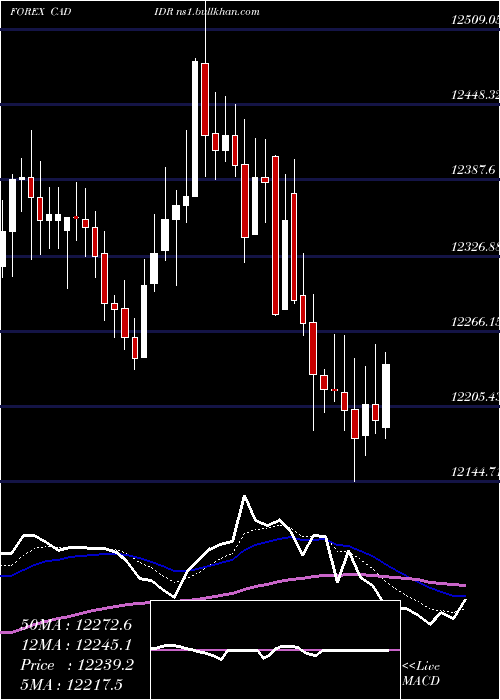  Daily chart CanadianDollar