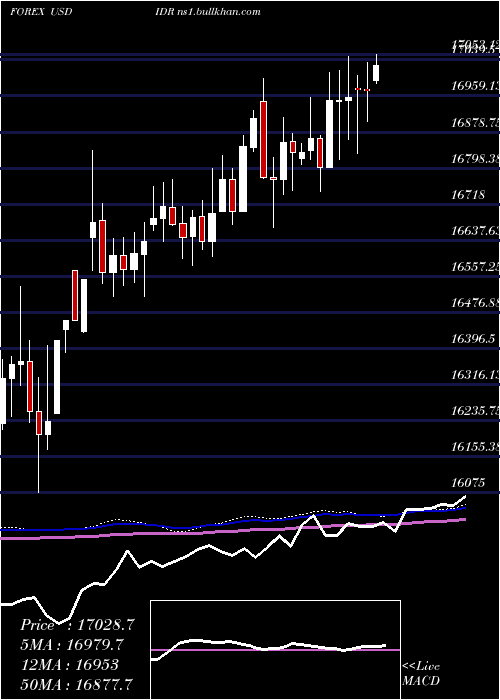  weekly chart UsDollar
