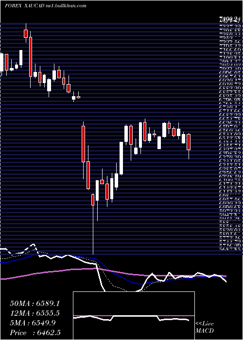  Daily chart GoldCanadian