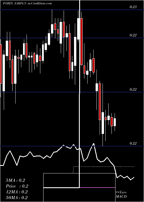  Daily chart SouthAfrican