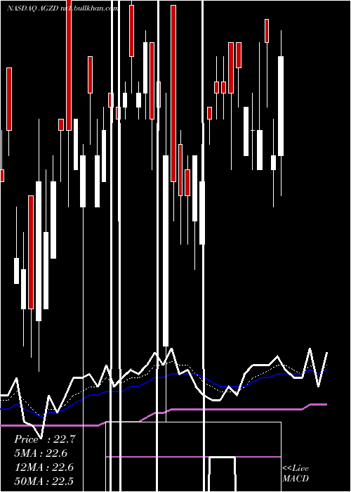  Daily chart WisdomtreeInterest