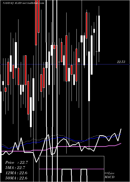  weekly chart WisdomtreeInterest