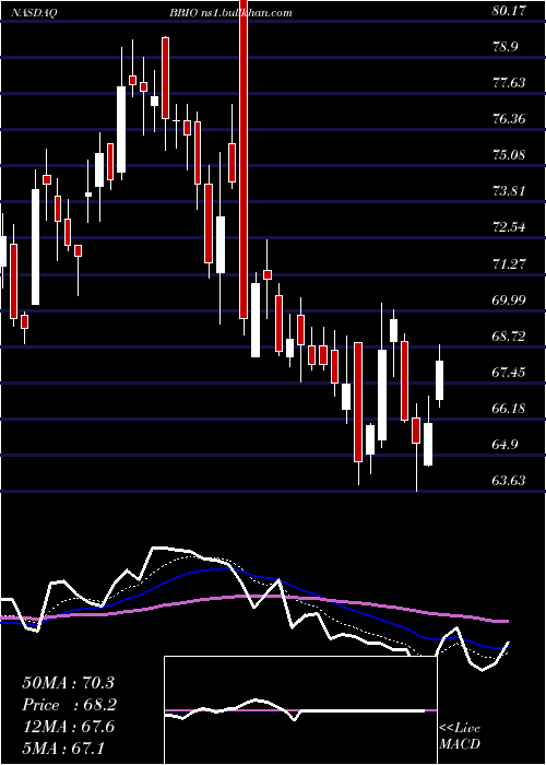  Daily chart BridgebioPharma