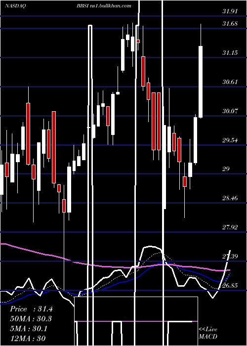  Daily chart BarrettBusiness