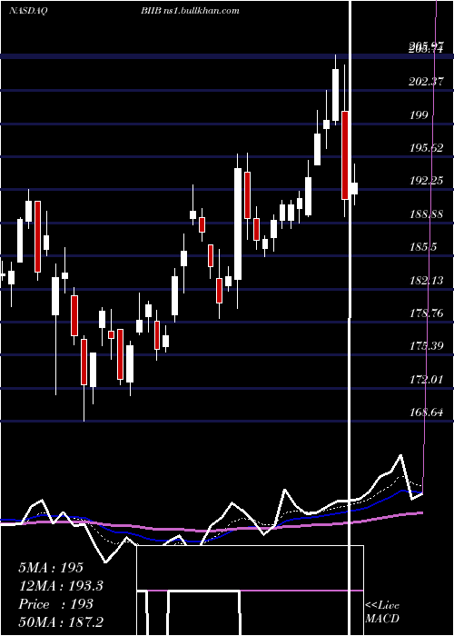  Daily chart BiogenInc
