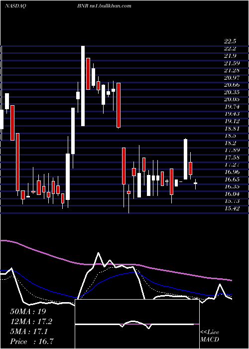  Daily chart BurningRock
