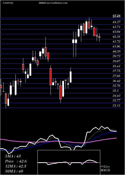 Daily chart BrukerCorporation