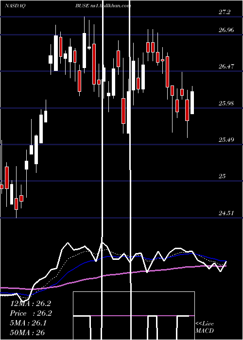  Daily chart FirstBusey