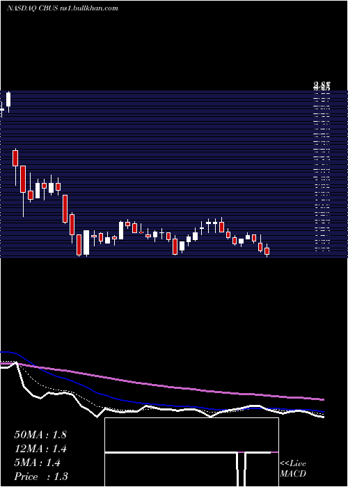  Daily chart CibusCorp
