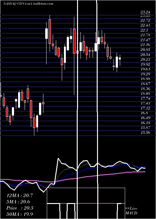  Daily chart CaredxInc