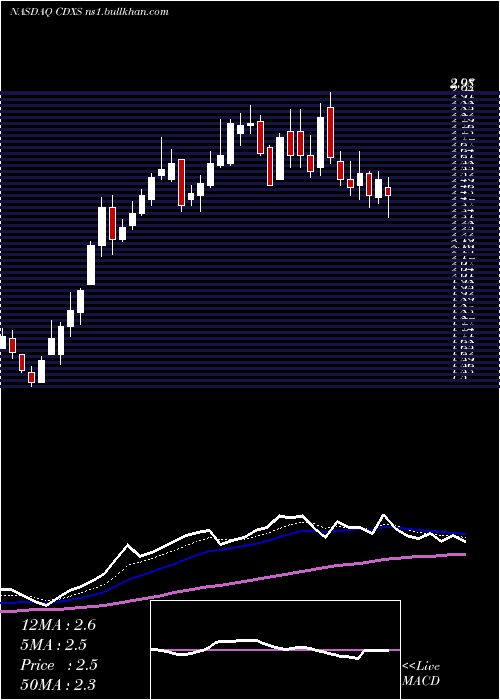  Daily chart CodexisInc