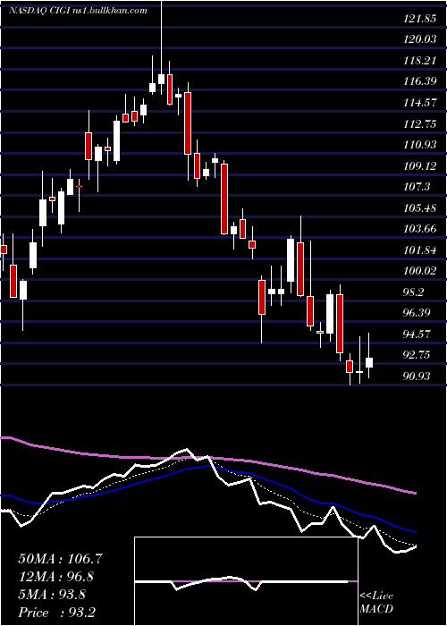  Daily chart ColliersInternational