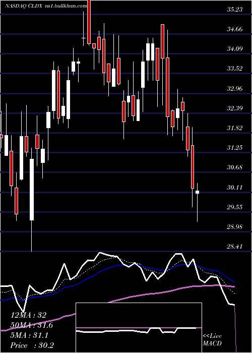  Daily chart CelldexTherapeutics
