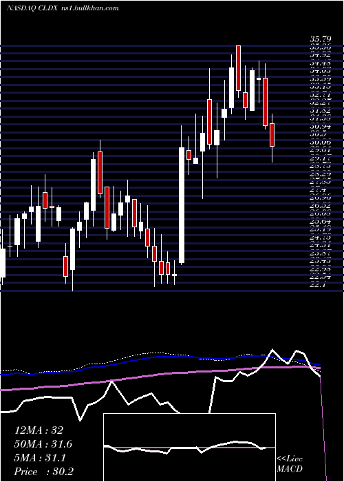  weekly chart CelldexTherapeutics