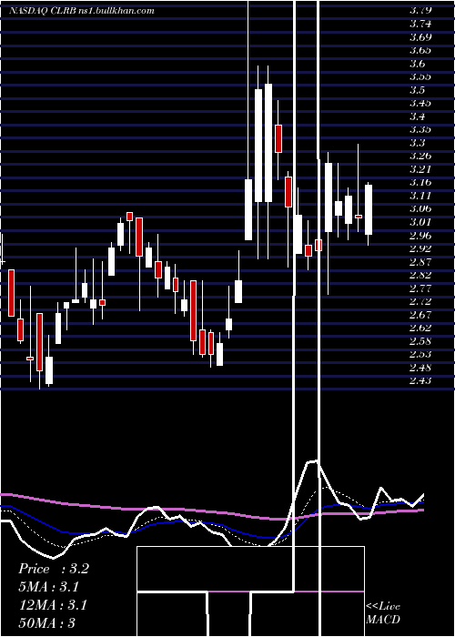  Daily chart CellectarBiosciences