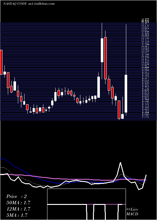  Daily chart CoDiagnostics