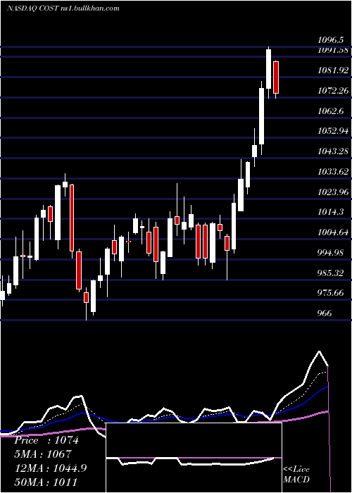  Daily chart CostcoWholesale
