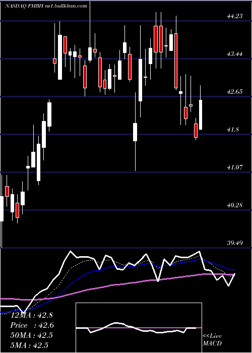  Daily chart FirstMid