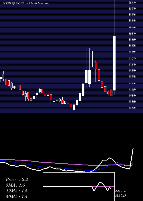  Daily chart GeovaxLabs