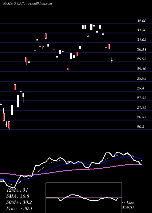  Daily chart GrindrodShipping