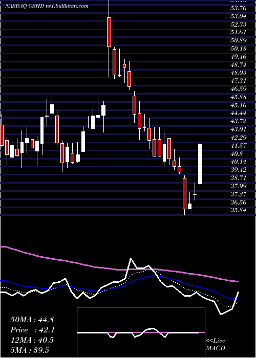  Daily chart GooseheadInsurance