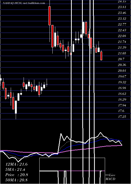  Daily chart HealthcareServices