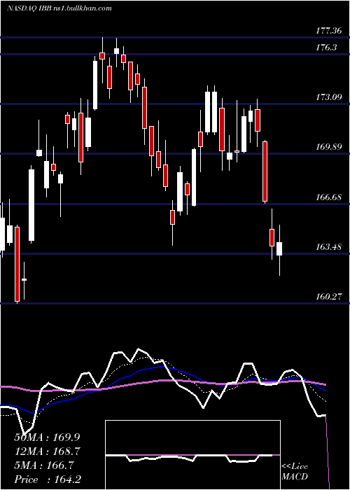  Daily chart IsharesNasdaq