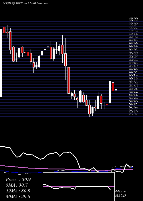  weekly chart IbexHoldings