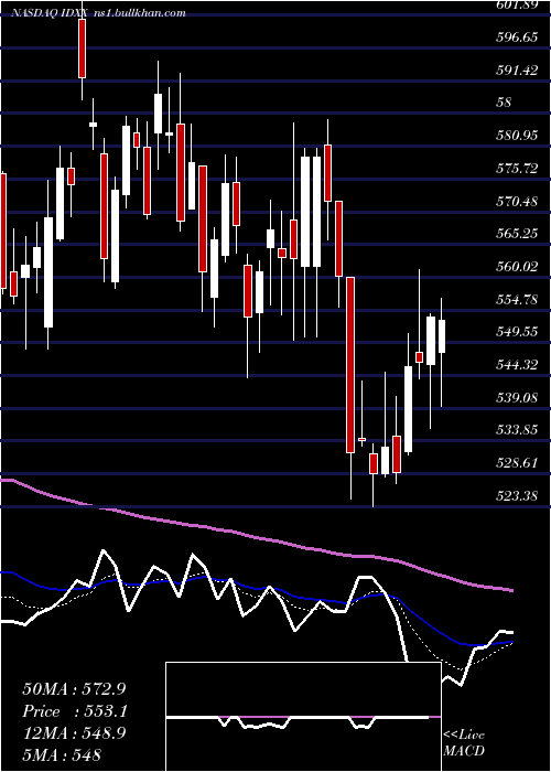  Daily chart IdexxLaboratories