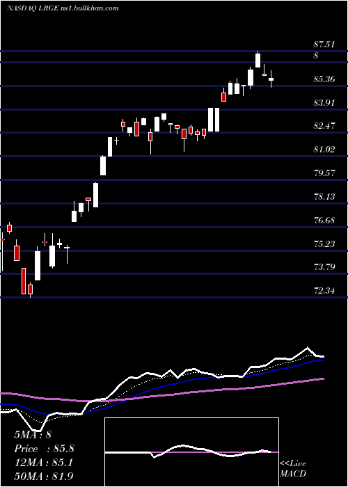  Daily chart ClearbridgeLarge