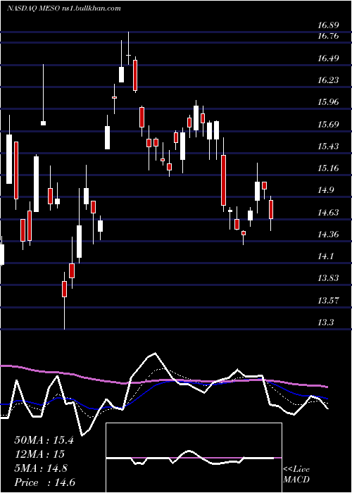  Daily chart Mesoblast