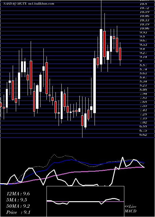  weekly chart MeiragtxHoldings