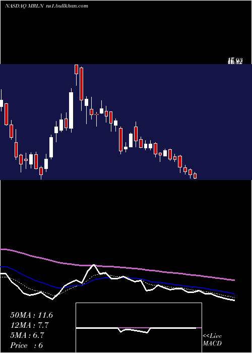  Daily chart MarlinBusiness
