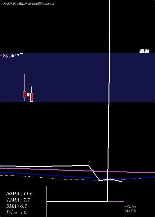  monthly chart MarlinBusiness