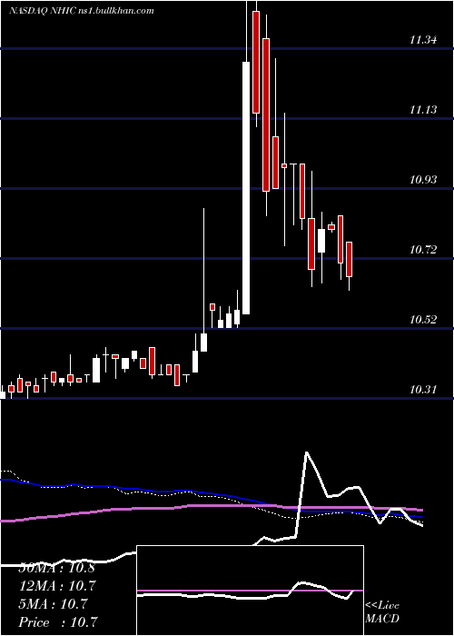  weekly chart NewholdInvestment