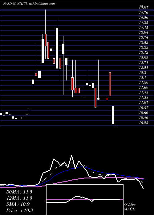  Daily chart NewholdInvestment