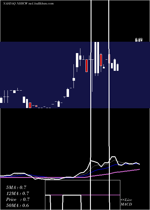  Daily chart NewholdInvestment