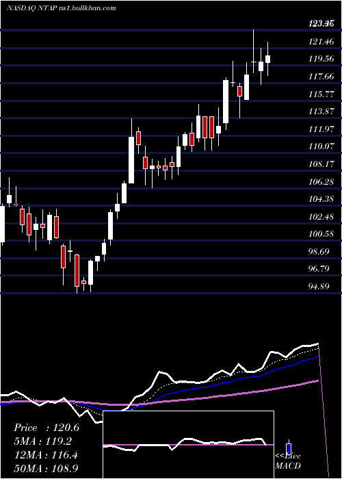  Daily chart NetappInc