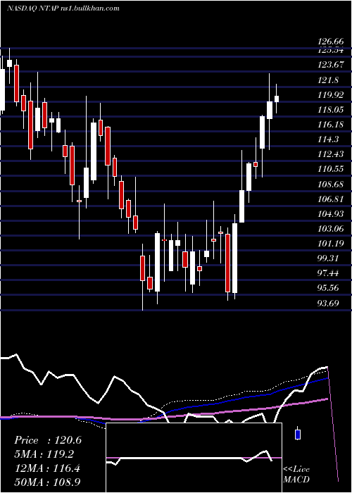  weekly chart NetappInc
