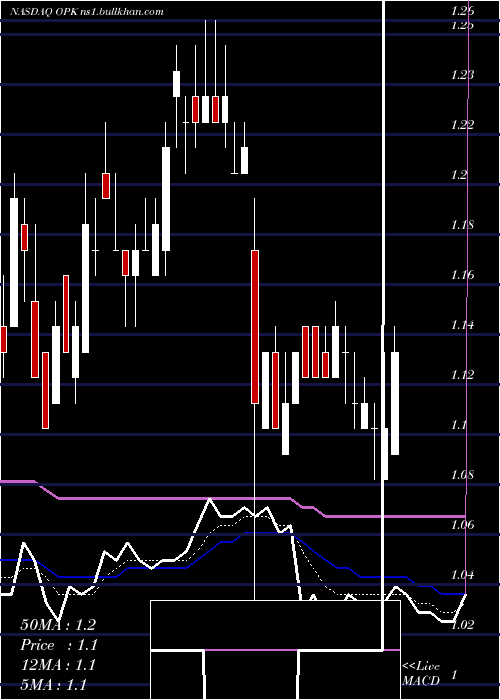  Daily chart OpkoHealth