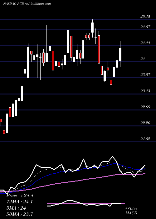  Daily chart PacificCity