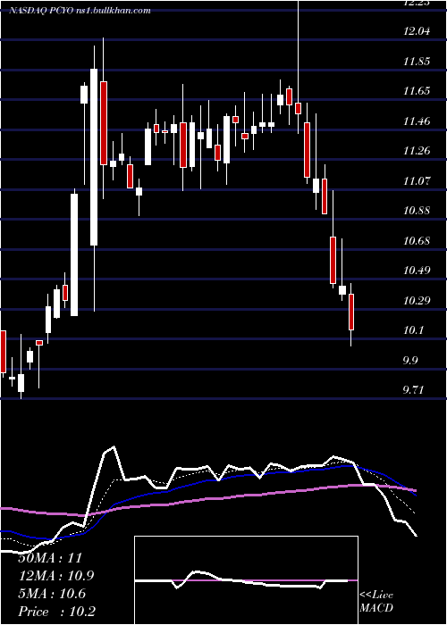  Daily chart PureCycle