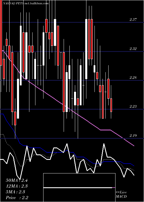  Daily chart PetmedExpress