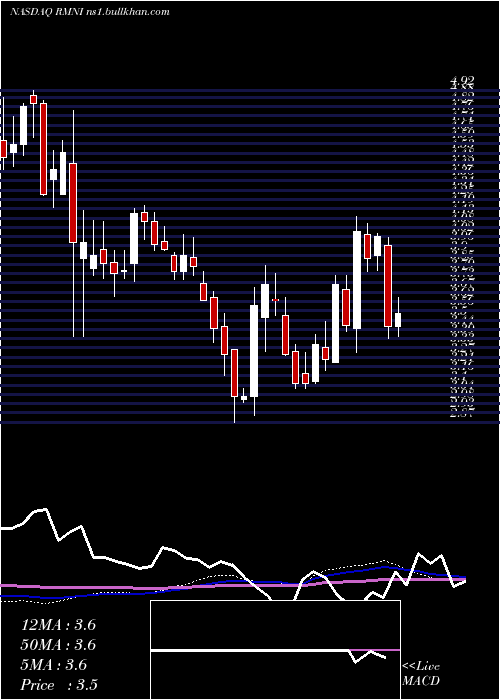  weekly chart RiminiStreet