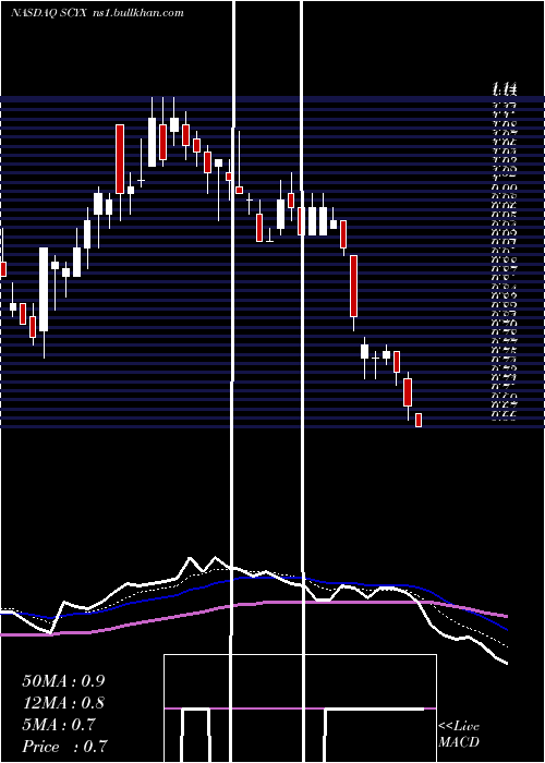  Daily chart ScynexisInc