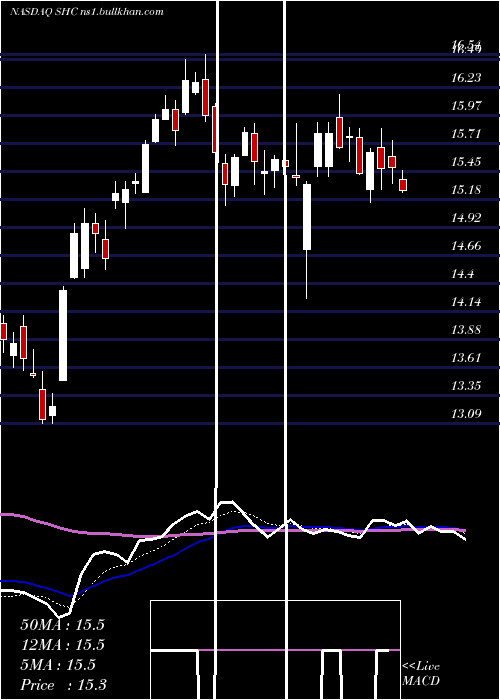  Daily chart SoteraHealth