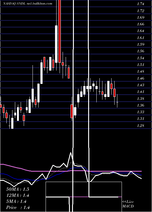  Daily chart SundialGrowers