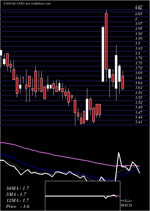  Daily chart SenestechInc